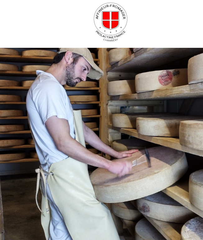 Premier audit en entreprise : une immersion concrète dans la prévention des TMS